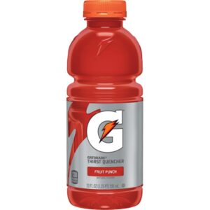 Gatorade Thirst Quencher Fruit Punch